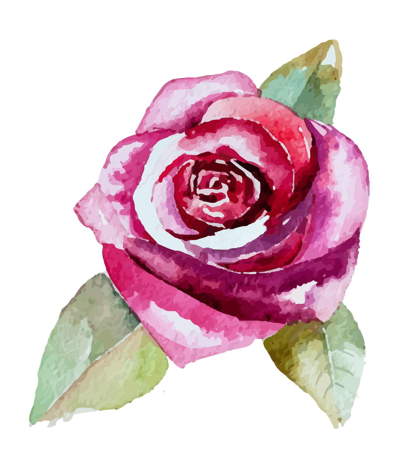 Rose 2